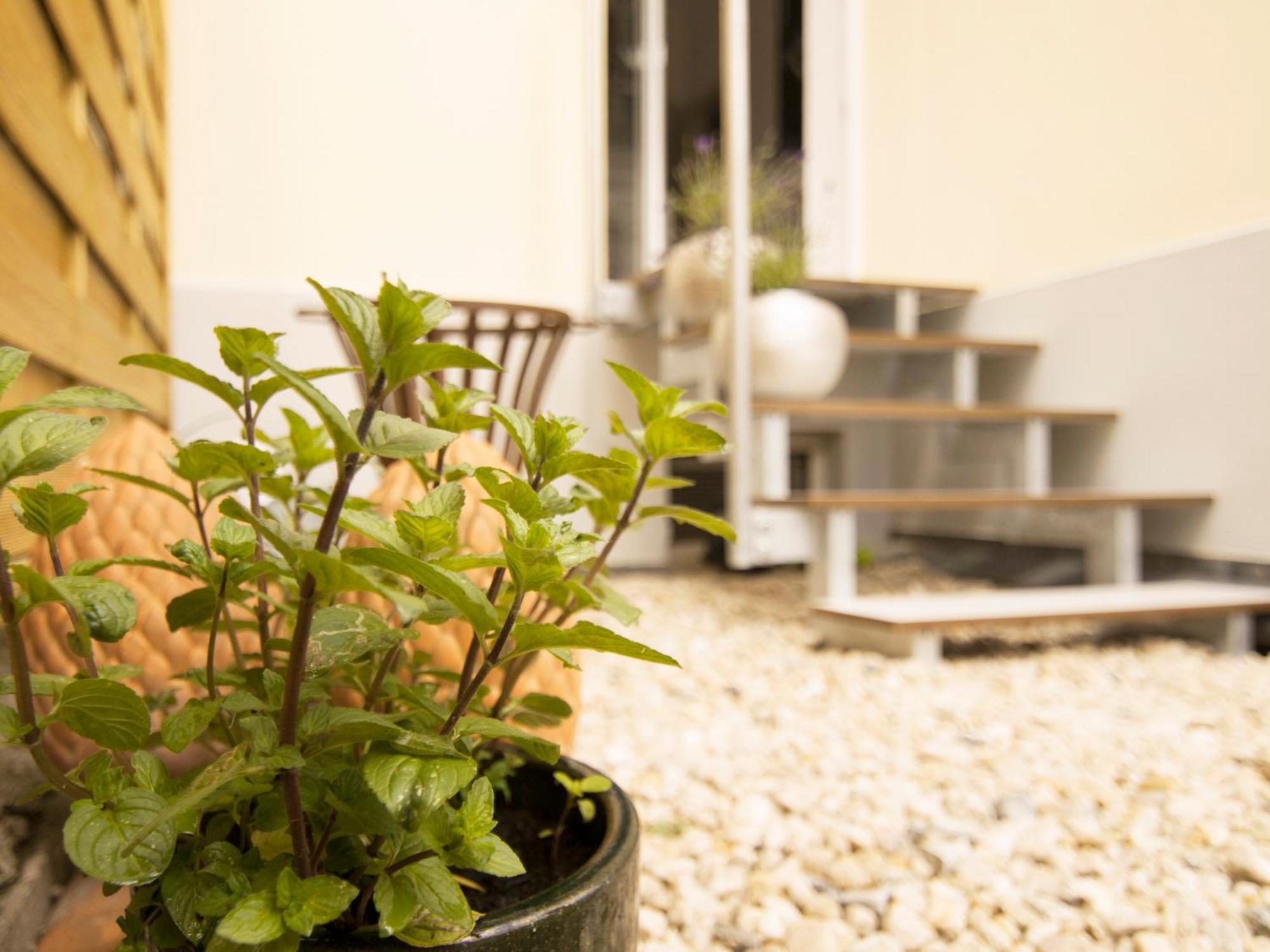 Bauhaus Design-Luxus Apartment, 20Er Jahre Stil, Garten Gera Eksteriør billede